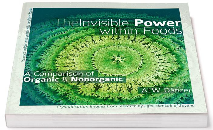 Front cover The Invisible Power within Foods